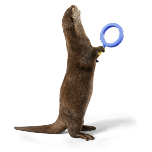 OtterRecruit